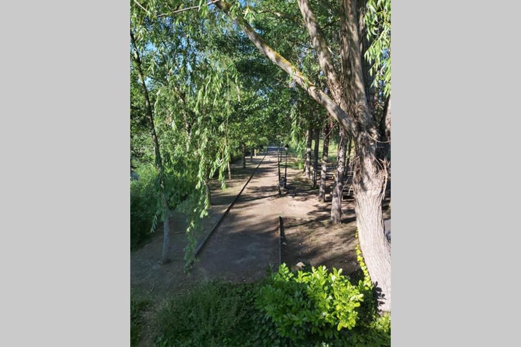 Durmiendo Como Reyes En La Rioja Cihuri Екстер'єр фото